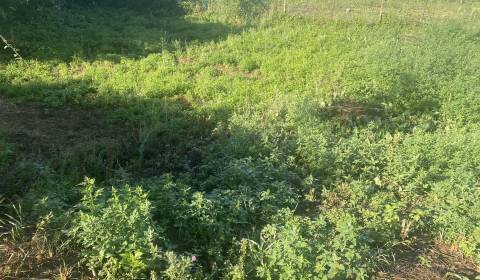 Predám stavebný pozemok v obci Tomášikovo