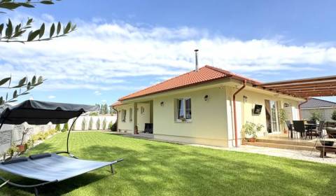 Ponúka na PREDAJ luxusný nadštandardný rodinný