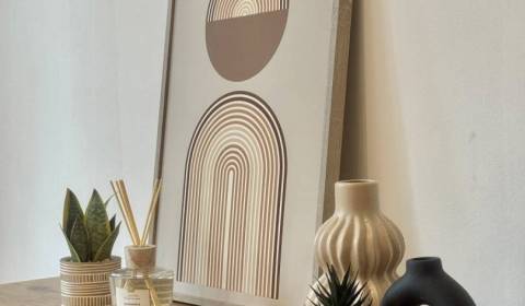 Vám ponúka 1 izbový byt vo VYHĽADÁVANEJ lokali