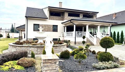 Vám ponúka na PREDAJ luxusnú vilu v obci Číčov