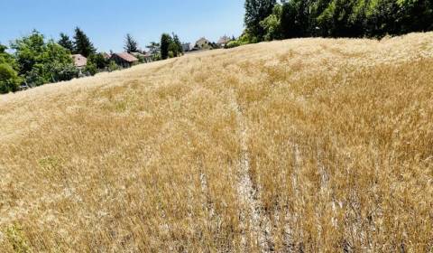 Vám EXKLUZÍVNE ponúka na predaj priestranný po