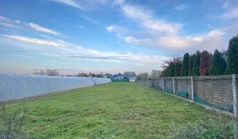 Stavebný pozemok so starším rodinným domom v obci Vlčany