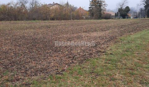 Predaj pozemku na bývanie, Farná, Farná, Levice