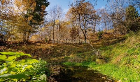 Tajuplná záhrada s jazierkom a banským potôčikom, 1927 m2, Špania Doli