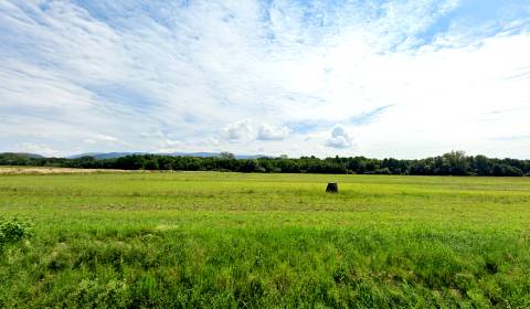 Baškovce – Poľnohospodárska pôda v komasácii