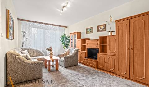 NA PRENÁJOM 2-IZBOVÝ BYT S PIVNICOU, GALANTA