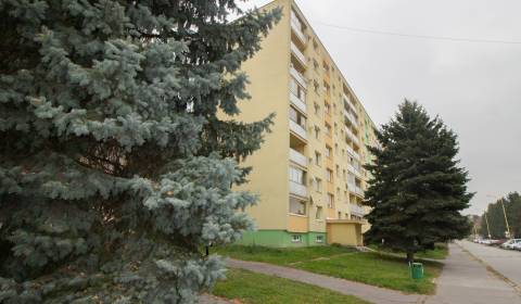 Vyhľadávaný 4-izb.byt, Prešov- Pavla Horova (Sekčov)