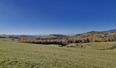 Pozemok (7750m2) s výhľadom na Nízke Tatry v obci Detvianska Huta.