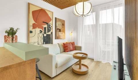 Nádherný 1,5i byt 32m2, s terasou a parkovaním, VYDRICA