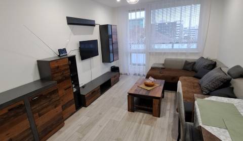 PRENÁJOM 2-izbový byt, Košice - Západ, Moldavská, rekonštrukcia