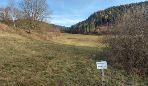 Telgárt - pozemok na predaj