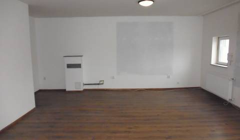 ČAPAJEVOVA: 31 m2-nebytové priestory vhodné na SLUŽBY-1.p.- PRENAJATÉ