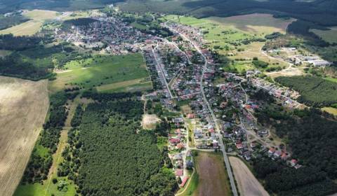 Studienka – Podiely na poľnohospodárskej pôde a lúkach v komasácii