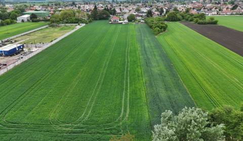 Veľký priestranný pozemok o rozlohe 7445 m2, Jelka 