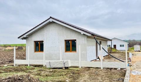 NOVOSTAVBA  RIPŇANY