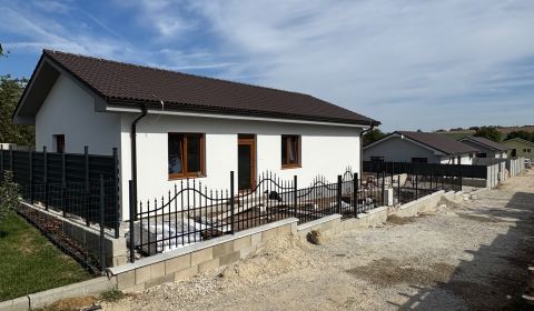NOVOSTAVBA  RIPŇANY