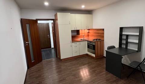 Vkusne zrekonštruovaný 1i byt v Senci 