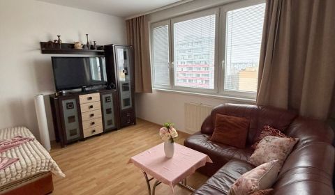 ÚTULNÝ A VYMAĽOVANÝ 1-IZBOVÝ BYT. PET FRIENDLY