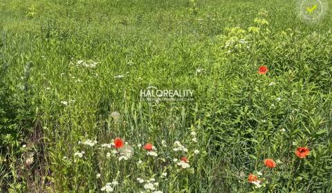 Predaj, pozemok pre rodinný dom   702 m2 Nová Polhor...