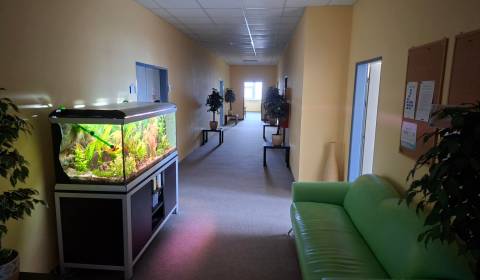 Prenajom kancelarií Dúbravka, Drobného ul., cca 270 - 490 m2