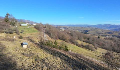  Pozemok  7900m2 Detva - Hriňová časť Blato  - Na predaj