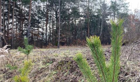 Prémiový stavebný pozemok 740 m² – Badín