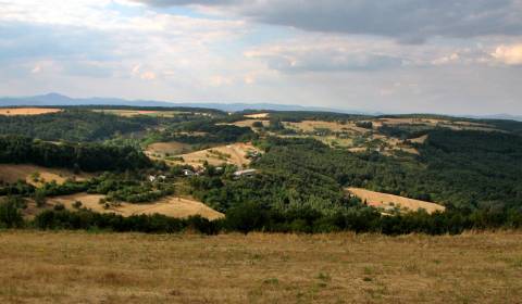 Pozemok (3,1ha) na Hrušove okres Veľký Krtíš s panoramatickým výhľadom