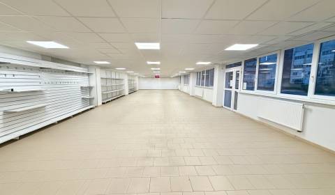 NA PRENÁJOM KOMERČNÝ PRIESTOR (230m2), SENICA