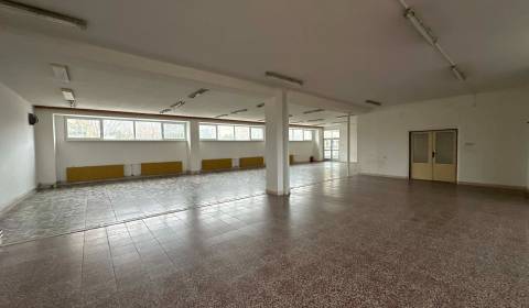 PRENÁJOM : Polyfunkčný komerčný priestor 250 m², Komárno