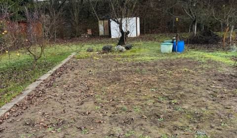 Záhrada Levice - Podhradie 311m2