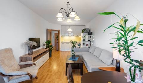 Príjemný 2i byt 50 m2,klíma, s balkónom a parkovaním, JÉGÉHO ALEJ