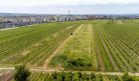 Pozemok v Pezinku s výmerou až 5190 m2