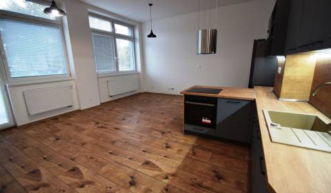 NA PRENÁJOM NOVŠÍ 2 IZBOVÝ BYT, ul. LEVOČSKÁ