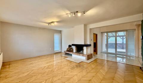 * veľký 5+ izbový rodinný dom, garáž, 11á pozemok, Šelpice