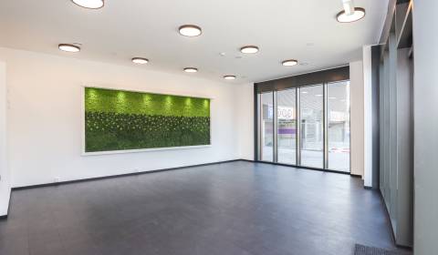 PRENÁJOM - KLINGERKA obchodný priestor vo vysokom štandarde