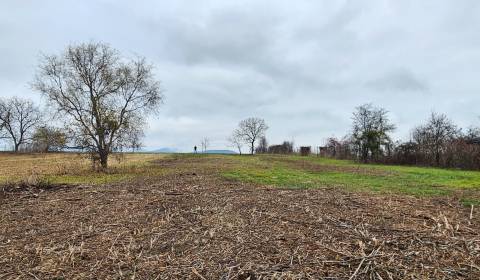 Priestranný stavebný pozemok v obci Kalša, okres Košice-okolie
