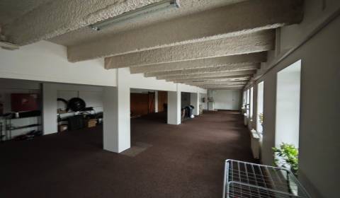 Prenájom priestorov na podnikanie