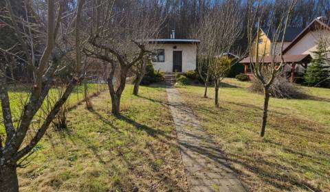 Chata, záhrada, Košice, Zelený dvor