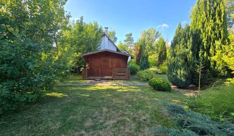 Na predaj útulná chata v obci Úľany nad Žitavou