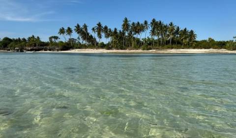 57000 m2 nezkrotného luxusu: Pozemok na výstavbu na pláži na Zanzibare