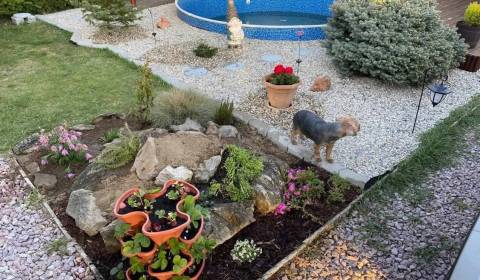 Záhrada na predaj – Kráľová nad Váhom 29 900 € - Dohoda Možná