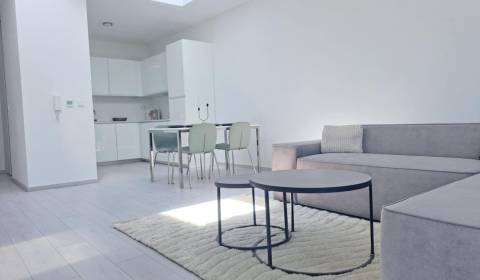 SKOLAUDOVANÉ! Novostavba 2,3 izbových bytov a nebytových priestorov