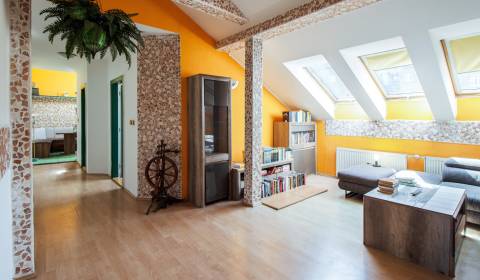 Kúpte si veľký PODKROVNÝ 4i BYT so ZÁHRADOU a PIVNICOU v Starom meste