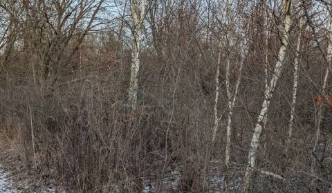 Pozemok – záhrada, Košice–Šaca (Pánska pastva)