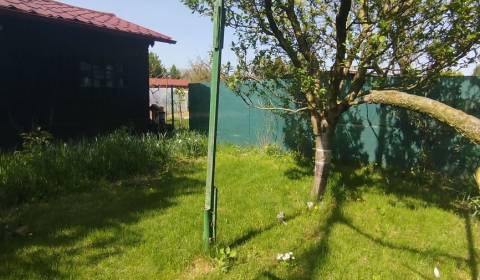 Na predaj záhrada v záhradkárskej osade v Šali – Veči