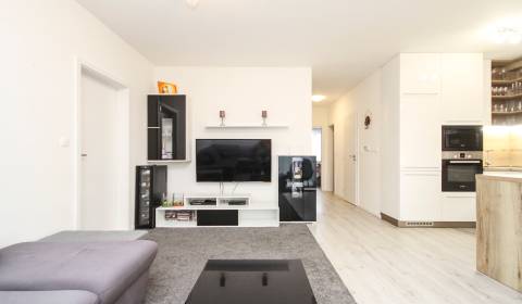 3i byt + záhradka 94m2 + parking, Vinohrady, Trenčín