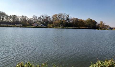 Podiel na lesnom pozemku Mostová - Šoriakoš