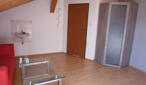 ČAPAJEVOVA: VOĽNÉ nebytové priestory s umývadlom 17 m2 - 1.p.