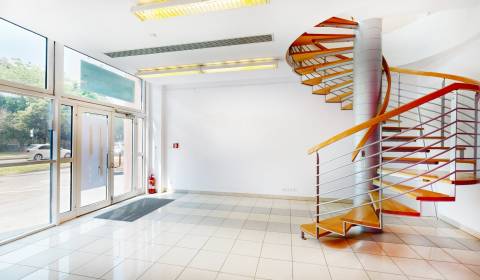 3D prenájom lukratívny obchodný priestor, vchod z ulice Košická, Nivy