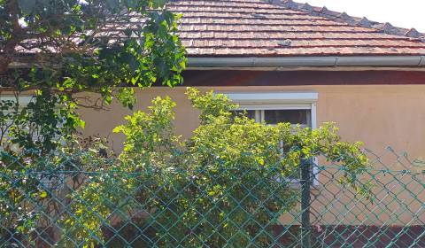 Dom - chalupa, Maďarsko, obec Vizsoly